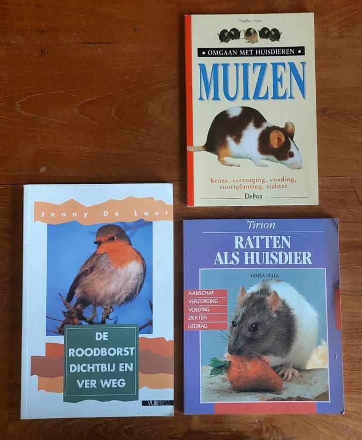 Boek - Muizen, ratten, roodborstjes, Boeken, Dieren en Huisdieren, Zo goed als nieuw, Ophalen of Verzenden