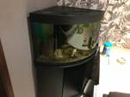 hoek aquarium 180 liter, Dieren en Toebehoren, Ophalen, Zo goed als nieuw, Gevuld zoetwateraquarium