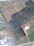 Schaffen Kenisberg bos 1.17.30 ha nog nooit gekapt !, Immo