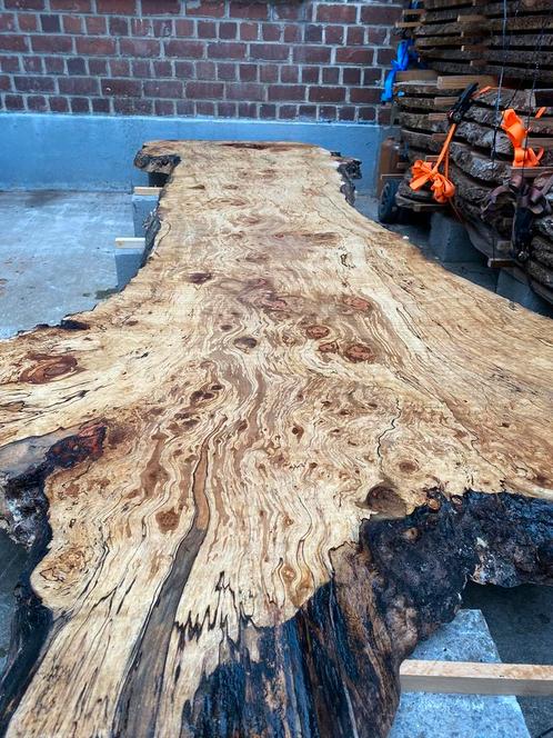 Loupe d’érable échauffé, Doe-het-zelf en Bouw, Hout en Planken
