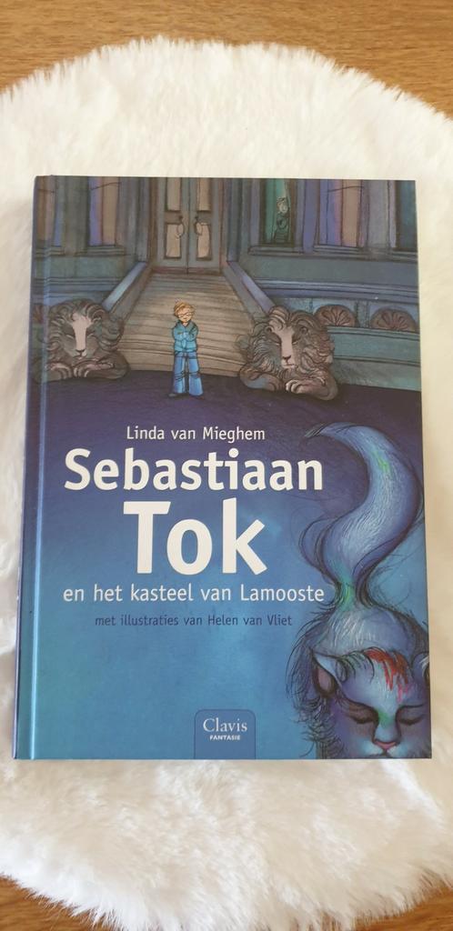 L. van Mieghem - Sebastiaan Tok en het kasteel van Lamooste, Boeken, Kinderboeken | Jeugd | 10 tot 12 jaar, Nieuw, Ophalen of Verzenden