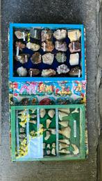 Fosielen en mineralen, Ophalen