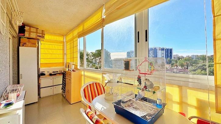 Leuk vakantie appartement bij/ strand in Punta Prima, Immo, Buitenland, Spanje, Appartement, Overige