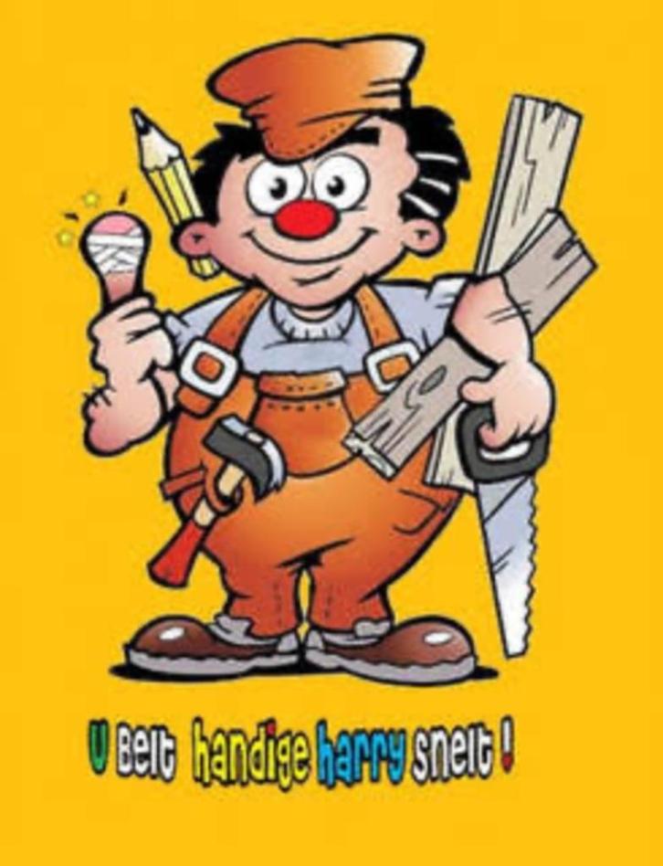 Handige Harry, Doe-het-zelf en Bouw, Overige Doe-Het-Zelf en Bouw, Ophalen