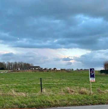 Bouwgrond te koop Kruishoutem 1409m2