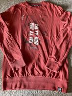 Trui (146/152) WE, Kinderen en Baby's, Kinderkleding | Maat 146, Gebruikt, WE, Trui of Vest, Ophalen of Verzenden
