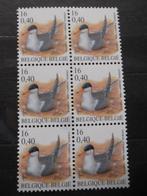 3011 Sterne pierregarin - Visdief MNH, Ophalen of Verzenden, Postfris, Frankeerzegel