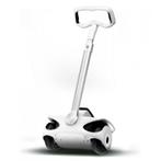 Robstep gyropode, Enlèvement