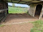 Weide te huur, Dieren en Toebehoren, Stalling en Weidegang