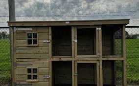 Konijnenren nachthok konijnen op voorraad, Dieren en Toebehoren, Konijnen, Middelgroot, Vrouwelijk, 0 tot 2 jaar