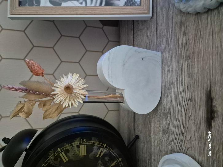 gips, Hobby en Vrije tijd, Knutselen, Nieuw, Ophalen of Verzenden