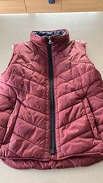 Bodywarmer 10-11j, Comme neuf, Fille, Pull ou Veste, Enlèvement ou Envoi