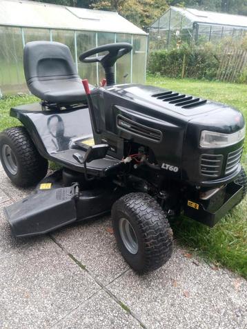 zitmaaier murray zeer mooi staat beschikbaar voor biedingen