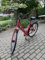Roze/rood damesfiets maat 50 merk Oxford, Fietsen en Brommers, Versnellingen, Zo goed als nieuw, 50 tot 53 cm, Ophalen