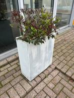 plantenbak hoog model x2, Tuin en Terras, Ophalen, Gebruikt