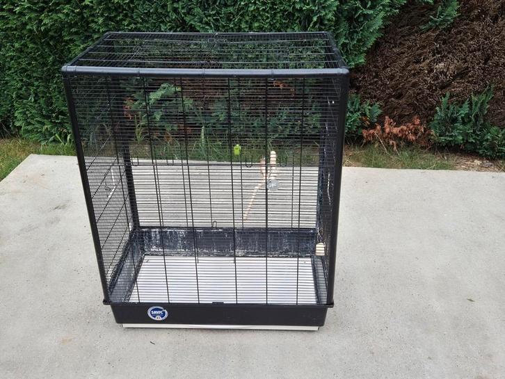 Cage oiseaux, Dieren en Toebehoren, Vogels | Hokken en Kooien, Zo goed als nieuw, Ophalen