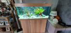 Juwel rio 180 met kast, Enlèvement