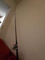 Telescopische vishengel + molen, Watersport en Boten, Ophalen, Zo goed als nieuw, Complete hengel