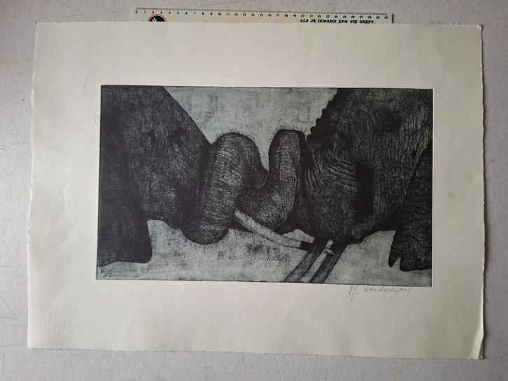 Ets M. Verkoeyen "Twee olifanten in gevecht", Antiek en Kunst, Kunst | Etsen en Gravures, Ophalen of Verzenden