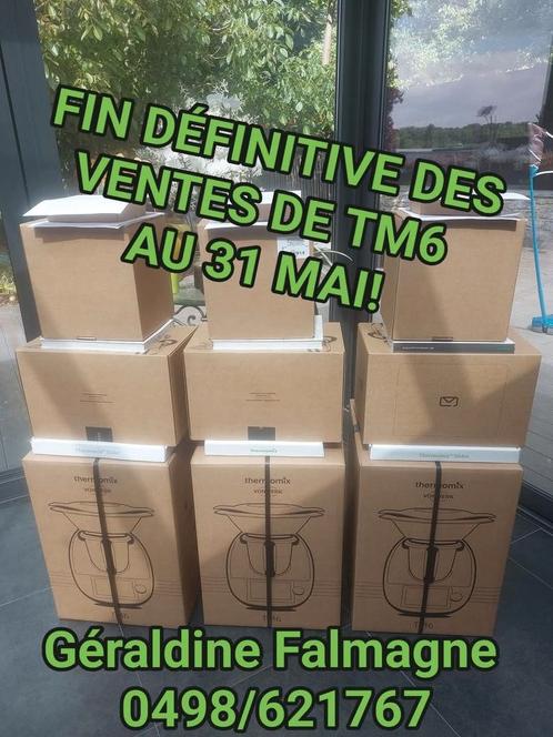 LE THERMOMIX TM6 FINI=FINI, Elektronische apparatuur, Stoomapparaten, Nieuw, Ophalen of Verzenden
