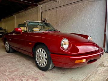 Alfa Romeo spider 