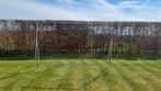 Goal de foot, Ophalen of Verzenden, Gebruikt