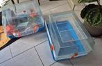Hamster Kooi x2 + accessories (Hamster Cage), Ophalen, Kooi, Gebruikt, 60 tot 90 cm