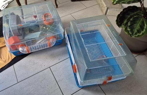 Hamster Kooi x2 + accessories (Hamster Cage), Dieren en Toebehoren, Knaagdieren en Konijnen | Hokken en Kooien, Gebruikt, Kooi