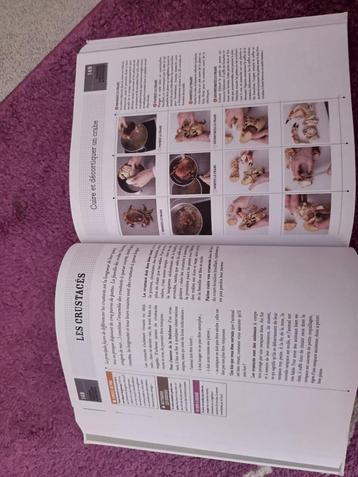 Le cours de cuisine – 750g beschikbaar voor biedingen