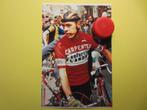 wielerfoto 1976 team flandria herman van springel, Comme neuf, Envoi