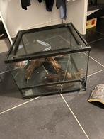 terrarium nouveau avec accessoires 40x40x28.  50€, Animaux & Accessoires, Reptiles & Amphibiens | Accessoires, Enlèvement ou Envoi