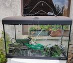 Aquarium Ferplast 60 liter + toebehoren, Ophalen, Gebruikt