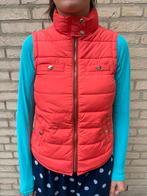 Koraalkleurige bodywarmer met gouden detail v. Massimo Dutti, Taille 36 (S), Blouson, Comme neuf, Enlèvement ou Envoi
