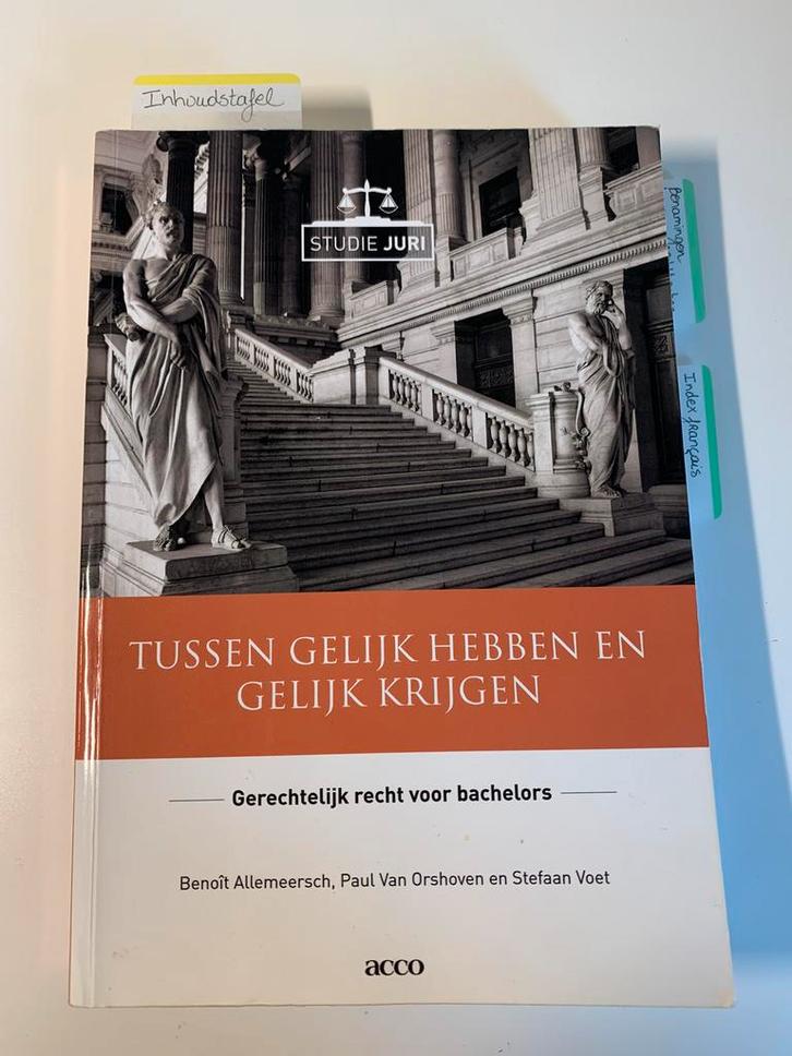 Tussen gelijk hebben en gelijk krijgen (2020), Livres, Livres d'étude & Cours, Comme neuf, Enseignement supérieur, Enlèvement ou Envoi