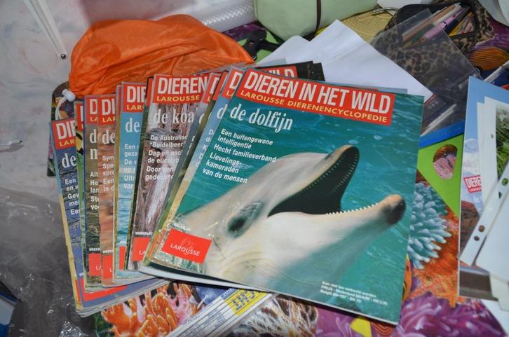 Weekblad Dieren in het Wild - Porseleinen Poppen, Verzamelen, Tijdschriften, Kranten en Knipsels, Ophalen