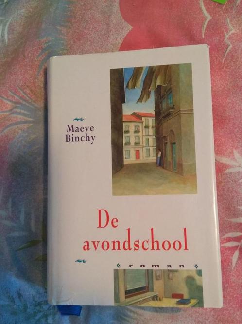 de avondschool, Boeken, Romans, Ophalen of Verzenden