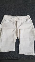 5 pantalons femme. Nouveau. Aussi en vente séparément, Enlèvement ou Envoi, Neuf, Taille 38/40 (M), Longs