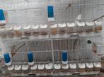 10 waterslagers en toebehoren