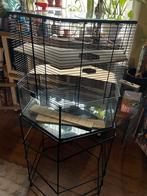 Mooie grote knaagdierenkooi, Dieren en Toebehoren, Ophalen, Kooi, Gebruikt, Hamster