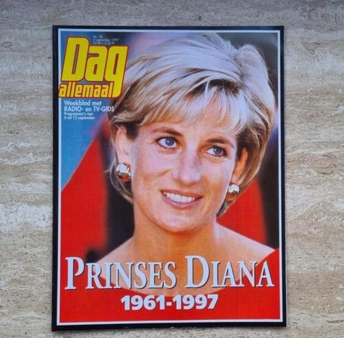 Story and Day Tout sur la mort de la princesse Diana, Collections, Maisons royales & Noblesse, Utilisé, Magazine ou livre, Envoi