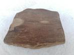 Ruw stukje versteend hout fossiel uit Autun Frankrijk, 200gr, Verzamelen, Mineralen en Fossielen, Ophalen of Verzenden, Fossiel