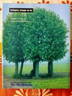 Gullegem vroeger en nu., Boeken, Ophalen of Verzenden