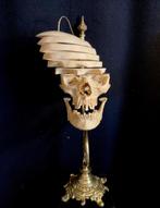 Beauchène Menselijke Schedel - Mensenschedel -- Schedel mens, Ophalen of Verzenden, Schedel
