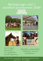 Springstages te lubbeek, Dieren en Toebehoren, Ophalen of Verzenden