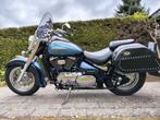 Suzuki Intruder Volusia VL 800, Motoren, Motoren | Suzuki, 2 cilinders, Chopper, Particulier, Meer dan 35 kW