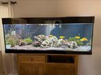 Aquarium en technologie, Dieren en Toebehoren, Vissen | Aquaria en Toebehoren, Ophalen, Leeg aquarium