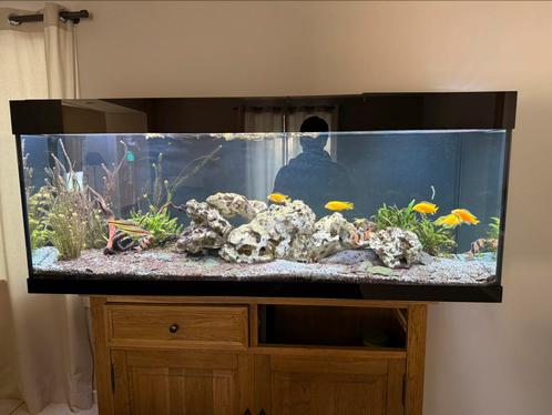 Aquarium en technologie, Dieren en Toebehoren, Vissen | Aquaria en Toebehoren, Leeg aquarium, Ophalen