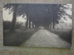 oude postkaarten Zandhoven Straten in natuur, Verzamelen, Postkaarten | Themakaarten, Ophalen of Verzenden, 1920 tot 1940, Gelopen