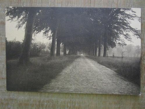 oude postkaarten Zandhoven Straten in natuur, Verzamelen, Postkaarten | Themakaarten, Gelopen, 1920 tot 1940, Natuur, Ophalen of Verzenden
