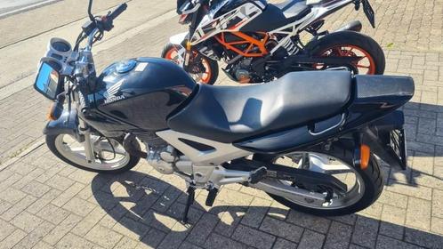 Honda	CBF250, Motoren, Motoren | Honda, Bedrijf, 12 t/m 35 kW, 1 cilinder, Ophalen of Verzenden